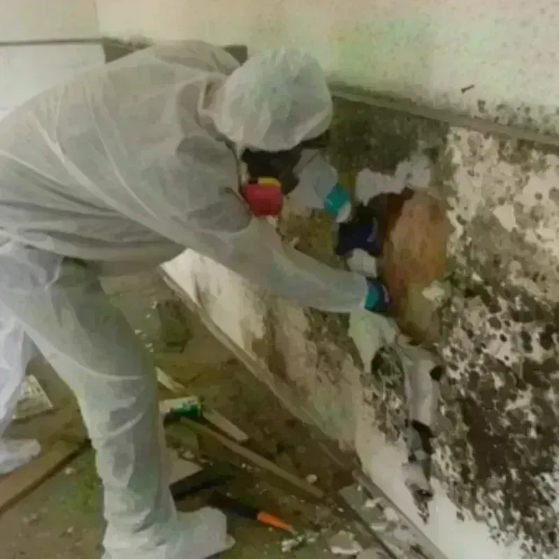 Mold Remediation and Removal in Fairmount Heights, MD