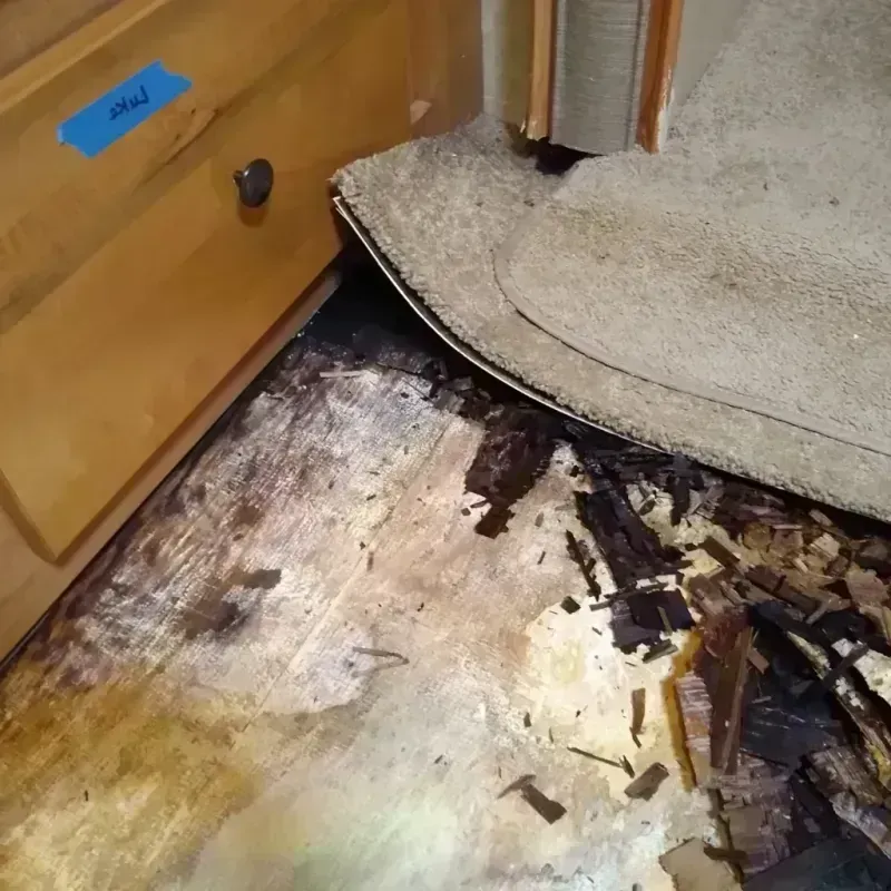 Wood Floor Water Damage in Fairmount Heights, MD